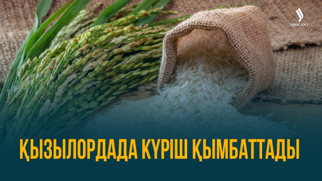 ЖАҢАЛЫҚТАР. 04.10.2023 күнгі шығарылым
